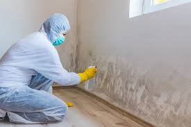 Best HVAC Mold Inspection and Cleaning in Benbrook, TX